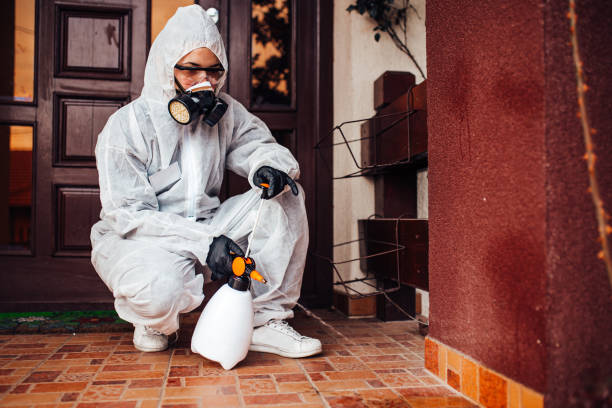 Reliable Bed Bug Control contractor in Vernal, UT by Nex Pest Control